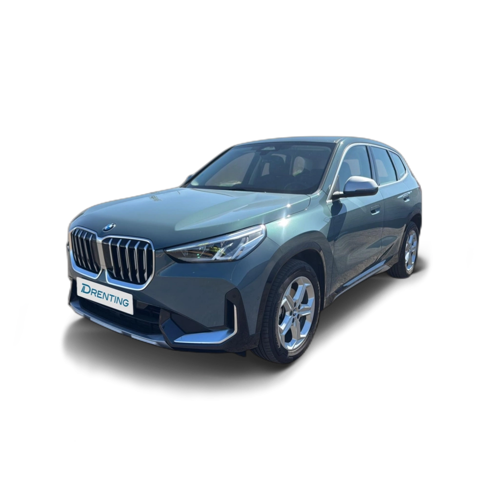 Renting BMW X1 xDrive20d 120 kW (163 CV) 13