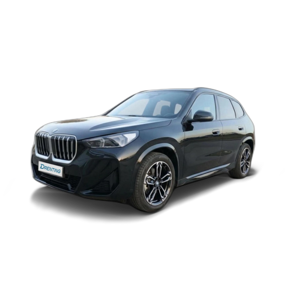 Renting BMW X1 xDrive20d 120 kW (163 CV) 19