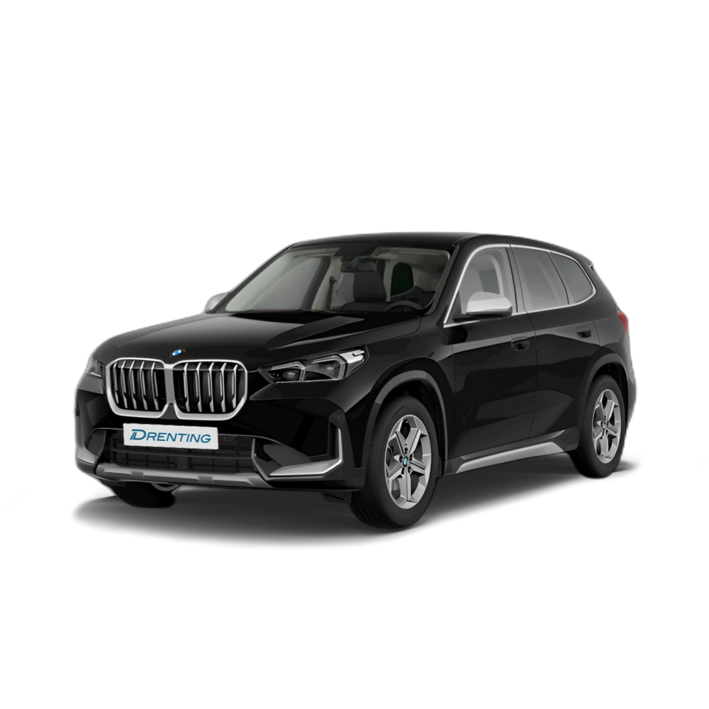 Renting BMW X1 xDrive20d 120 kW (163 CV) 22