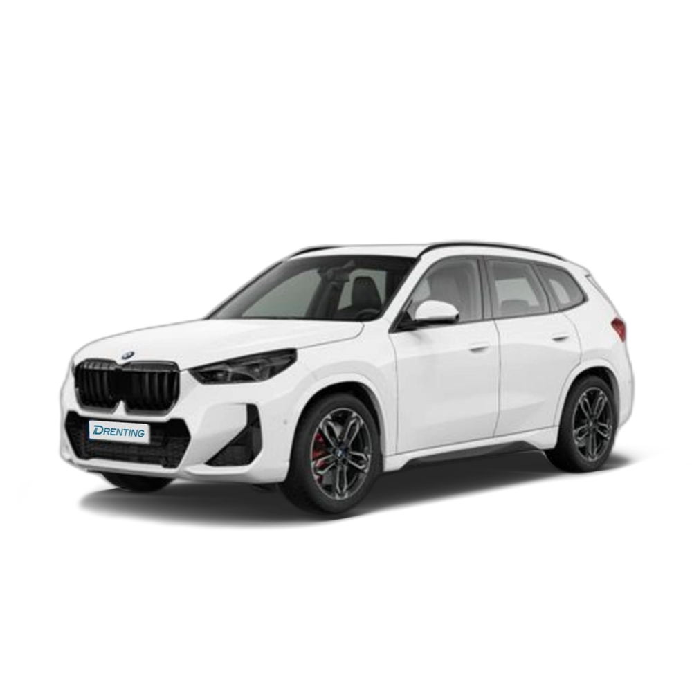 BMW X1 xDrive20d 120 kW (163 CV) 4