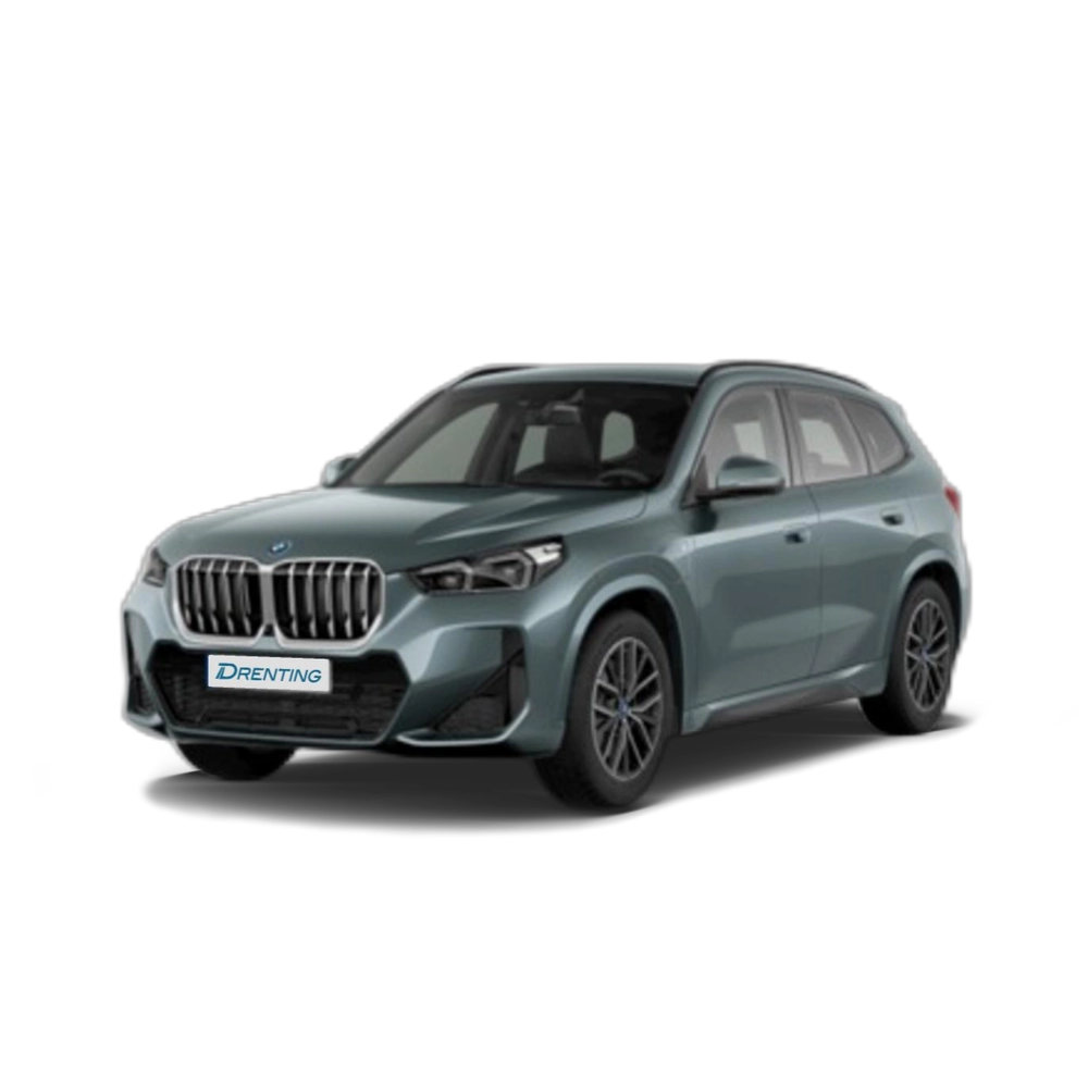 BMW X1 xDrive25e 180 kW (245 CV) 1 25