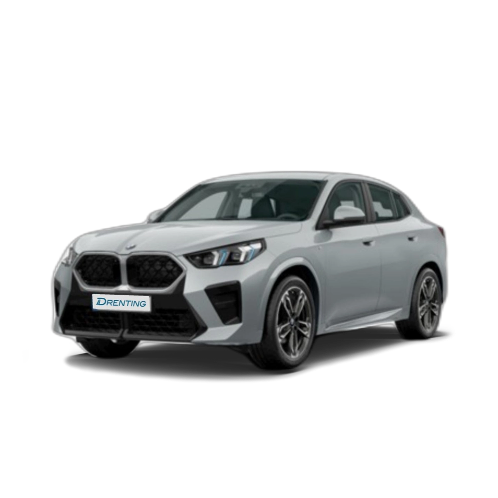 BMW X2 sDrive20d 120 kW (163 CV) 12