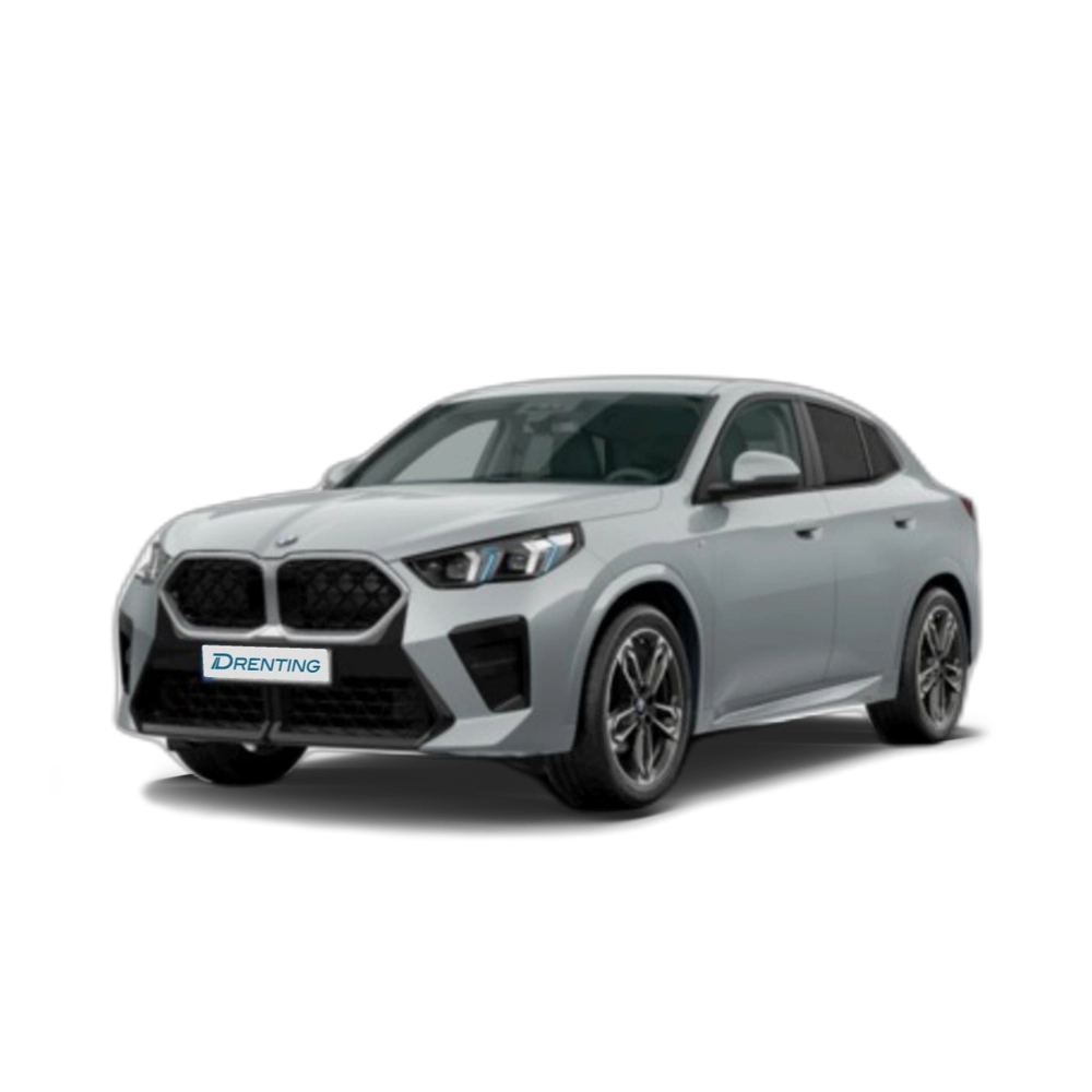 BMW X2 sDrive20d 120 kW (163 CV) 12 2