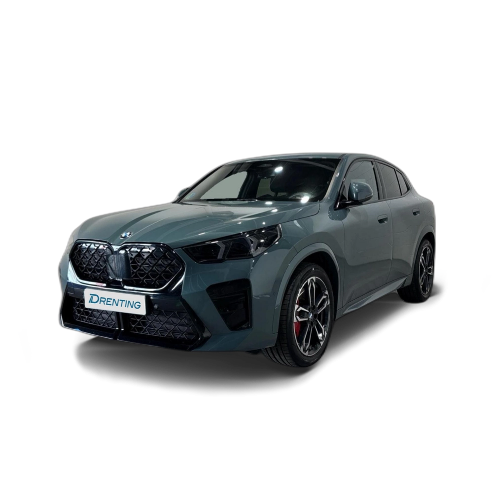 BMW X2 sDrive20d 120 kW (163 CV) 12 18