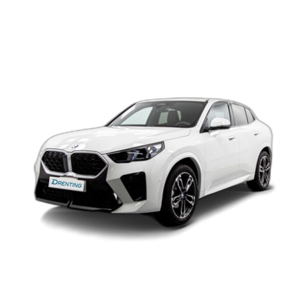 BMW X2 sDrive20d 120 kW (163 CV) 25 2