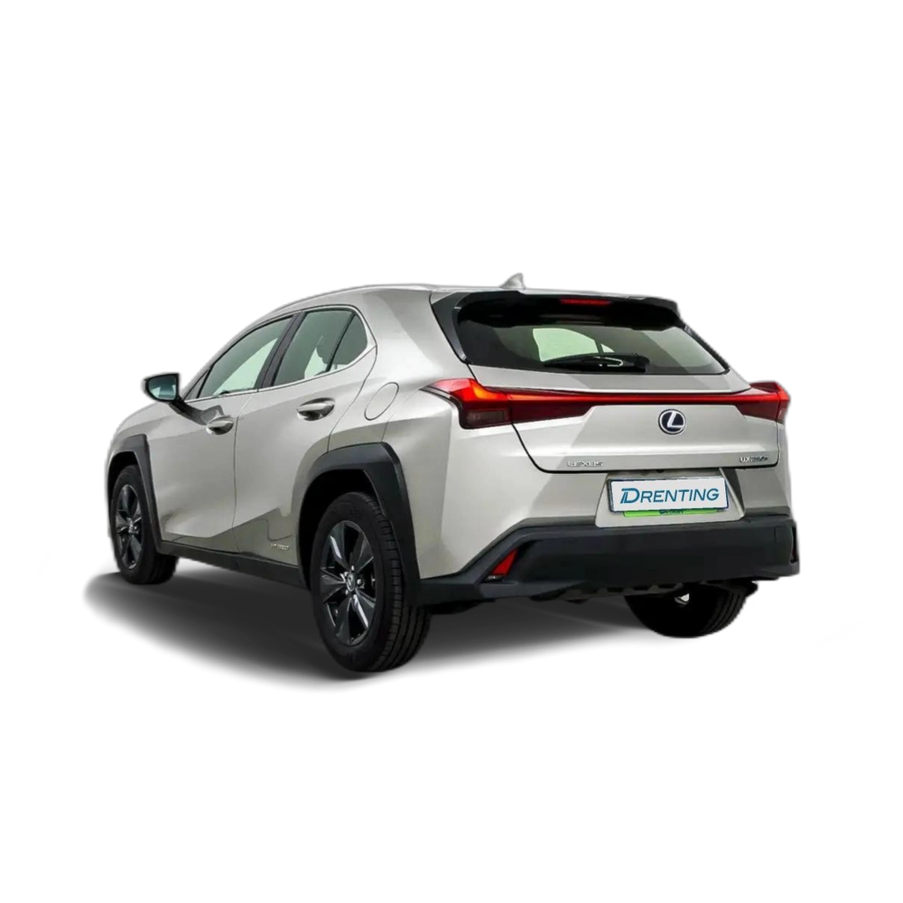 Lexus UX 250h Business City 2WD Gris 3 3