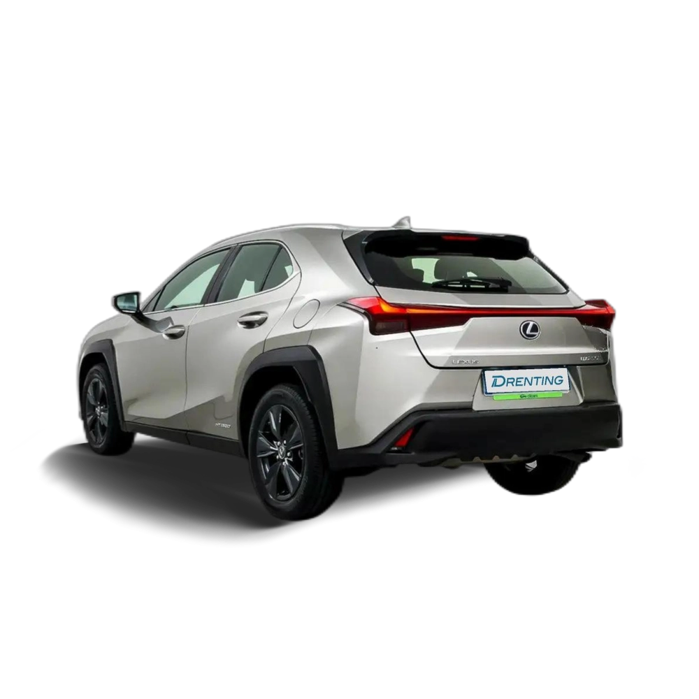 Lexus UX 250h Business City 2WD Gris 3