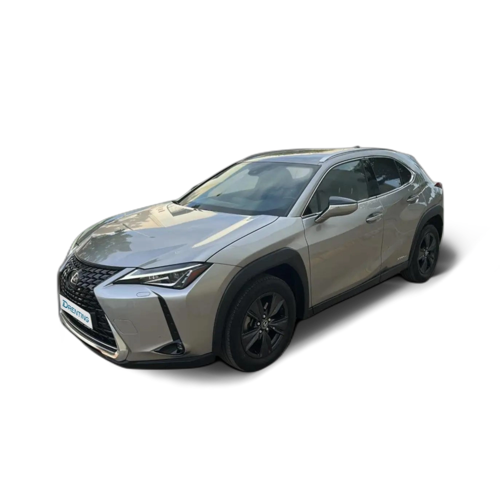 Lexus UX 250h Business City 2WD Gris 2