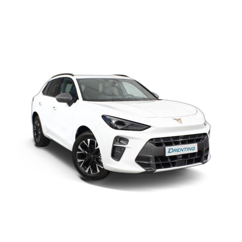 Cupra Terramar TERRAMAR 1.5 ETSI 110 KW (150 CV) DSG 7 VEL