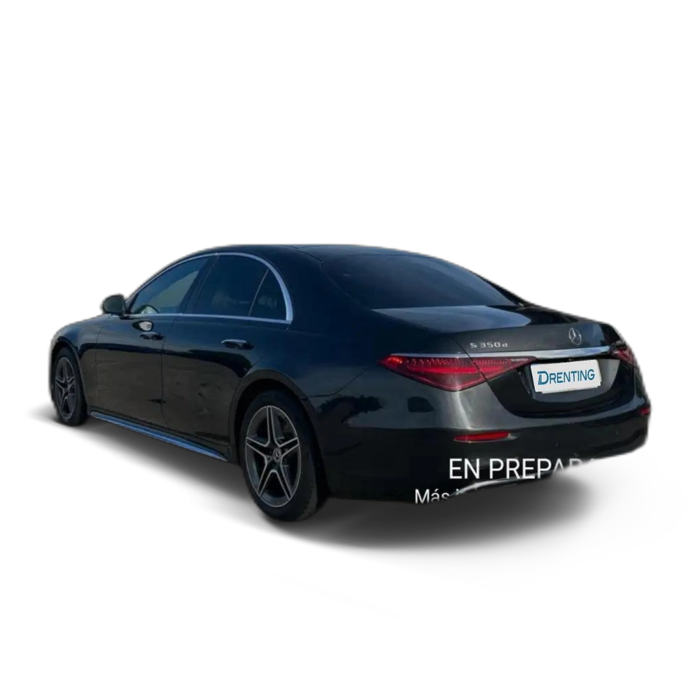 Mercedes-Benz S 350 d Gris 3