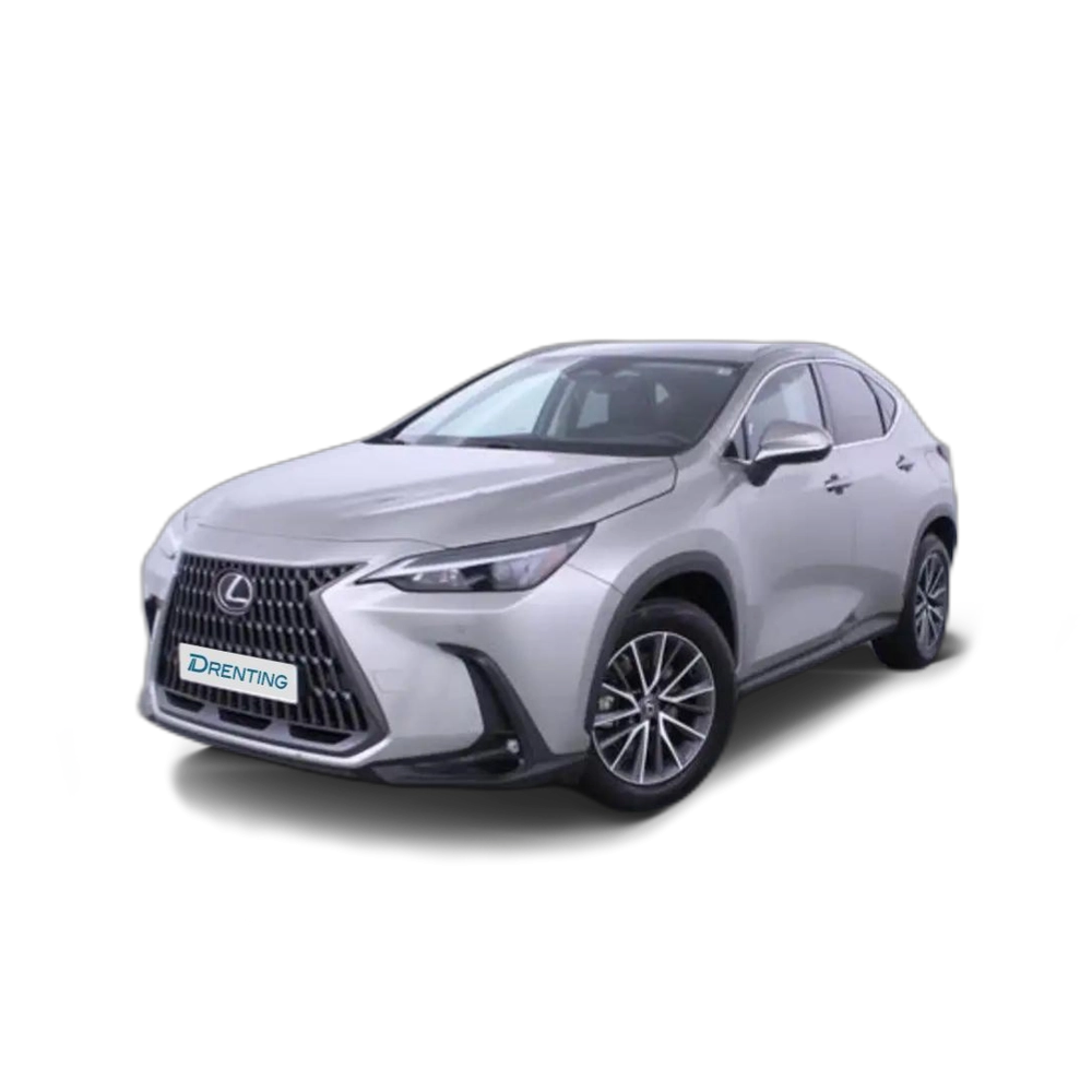 Lexus NX 450h+ Executive 4WD Gris 1