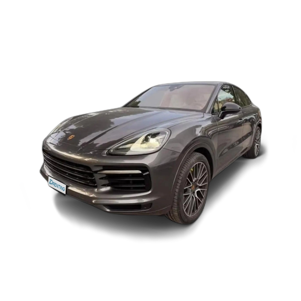 Porsche Cayenne Platinum Edition Gris