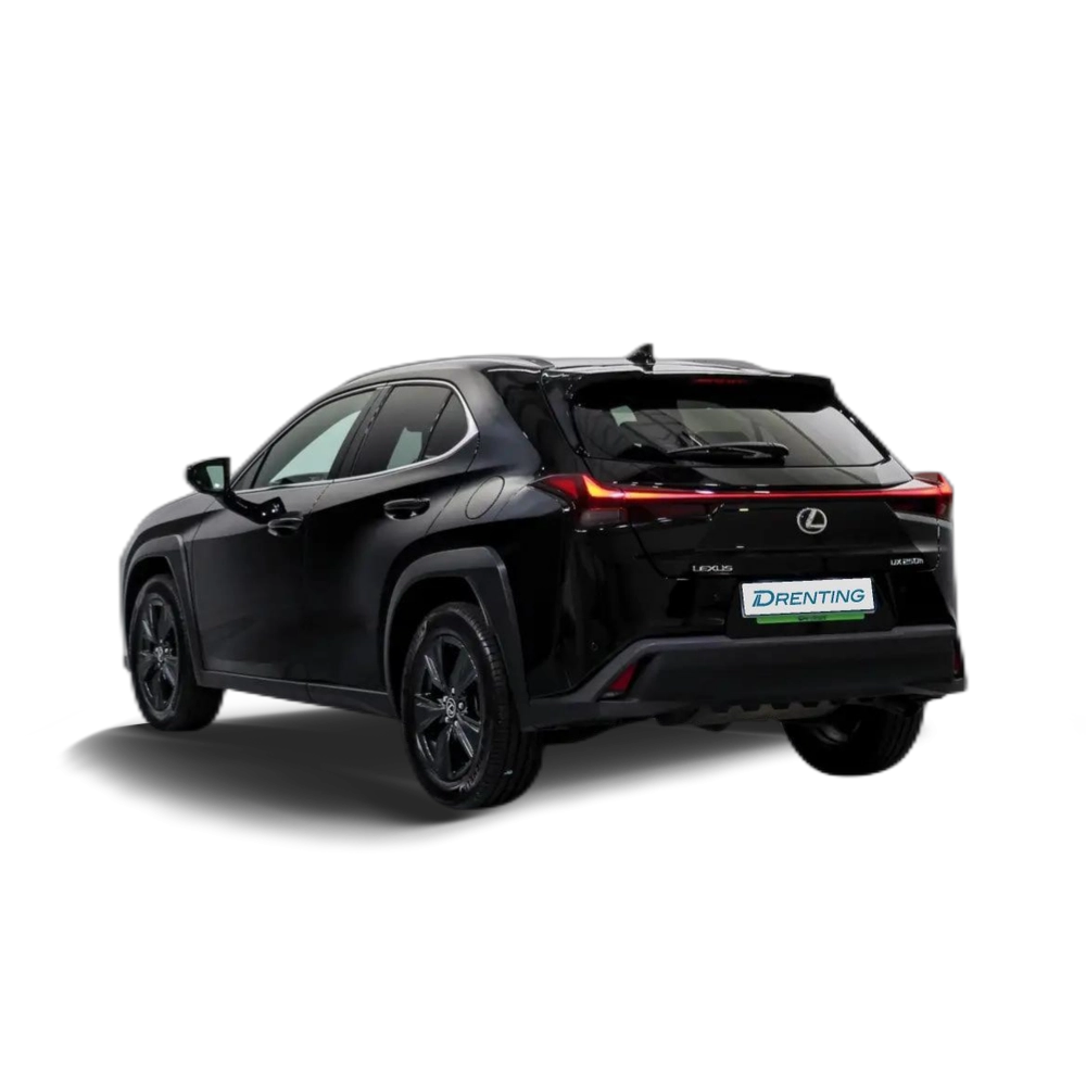 Lexus UX 250h Premium 4WD Negro
