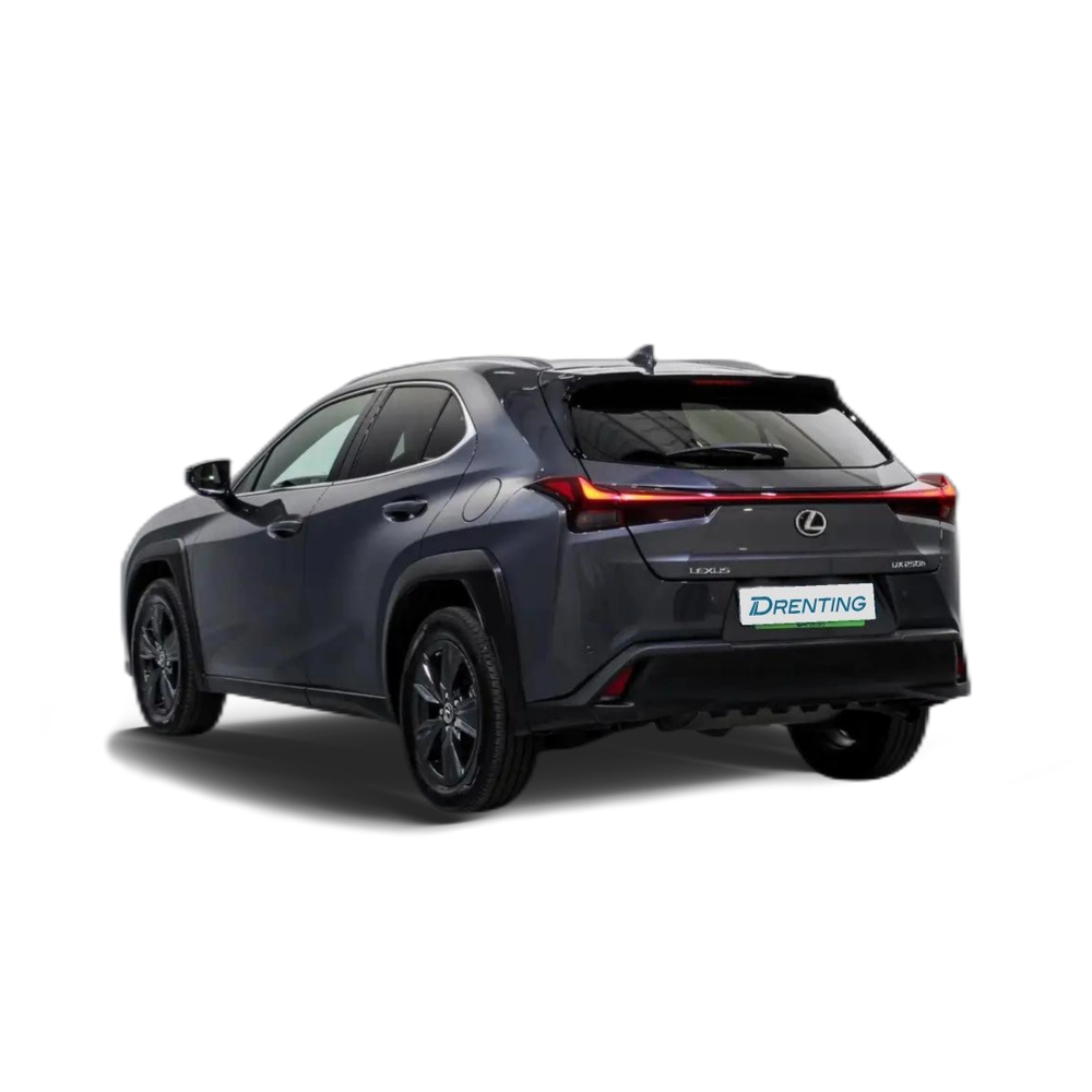 Lexus UX 250h Premium 4WD Gris 1