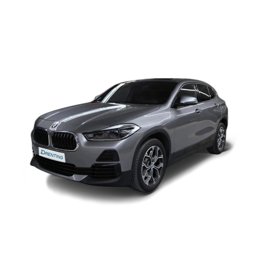 BMW X2 sDrive 18iA Gris