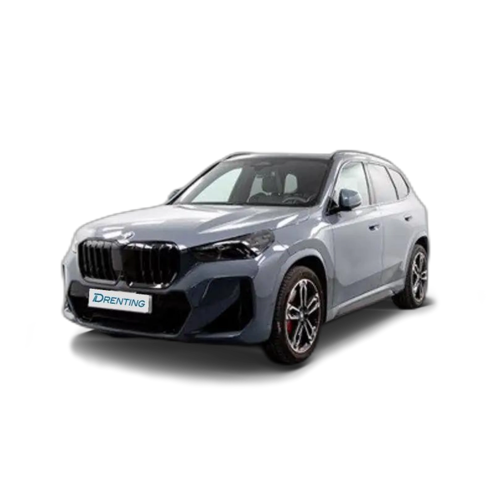 BMW X1 sDrive 20iA Gris