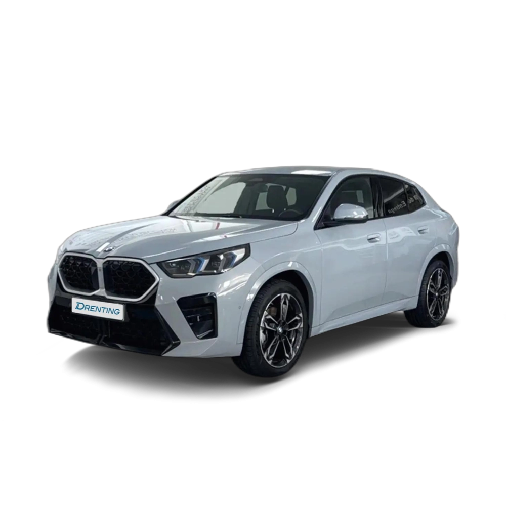 BMW X2 sDrive20d 120 kW (163 CV) 18