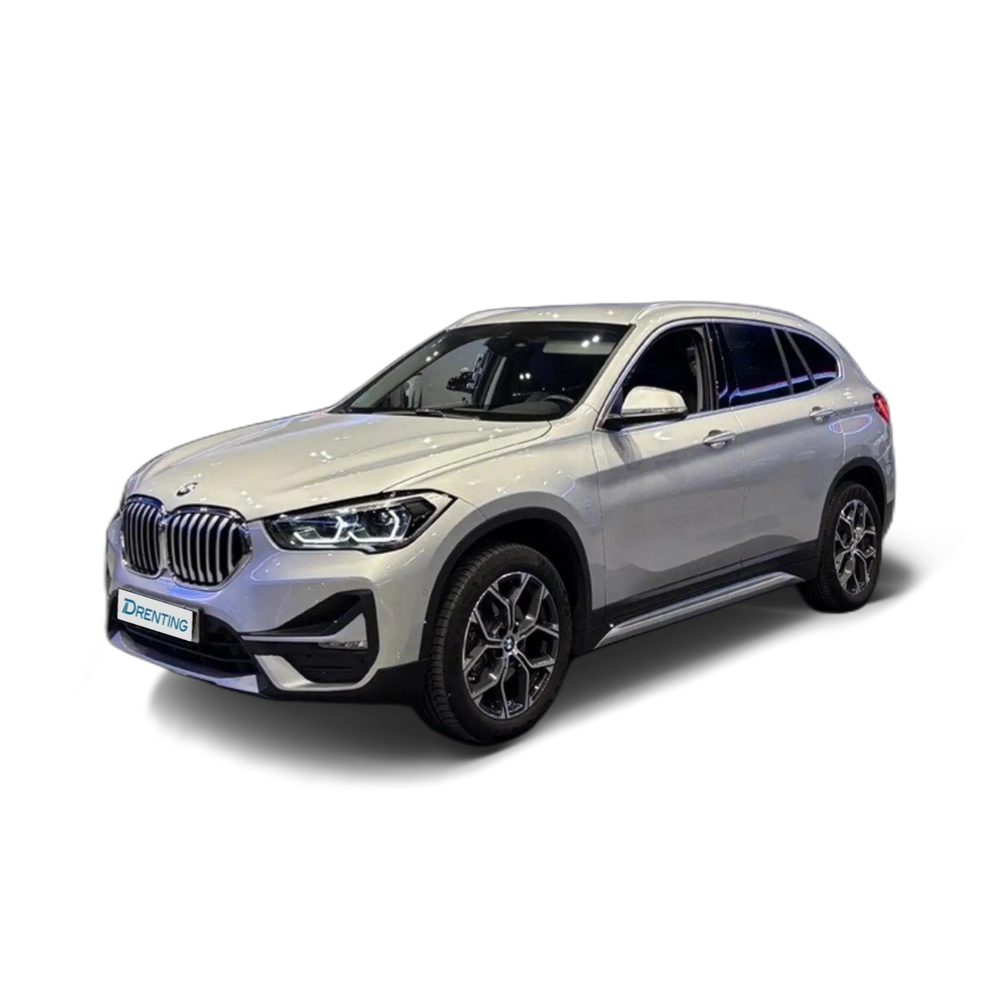 BMW X1 xDrive 18dA Gris