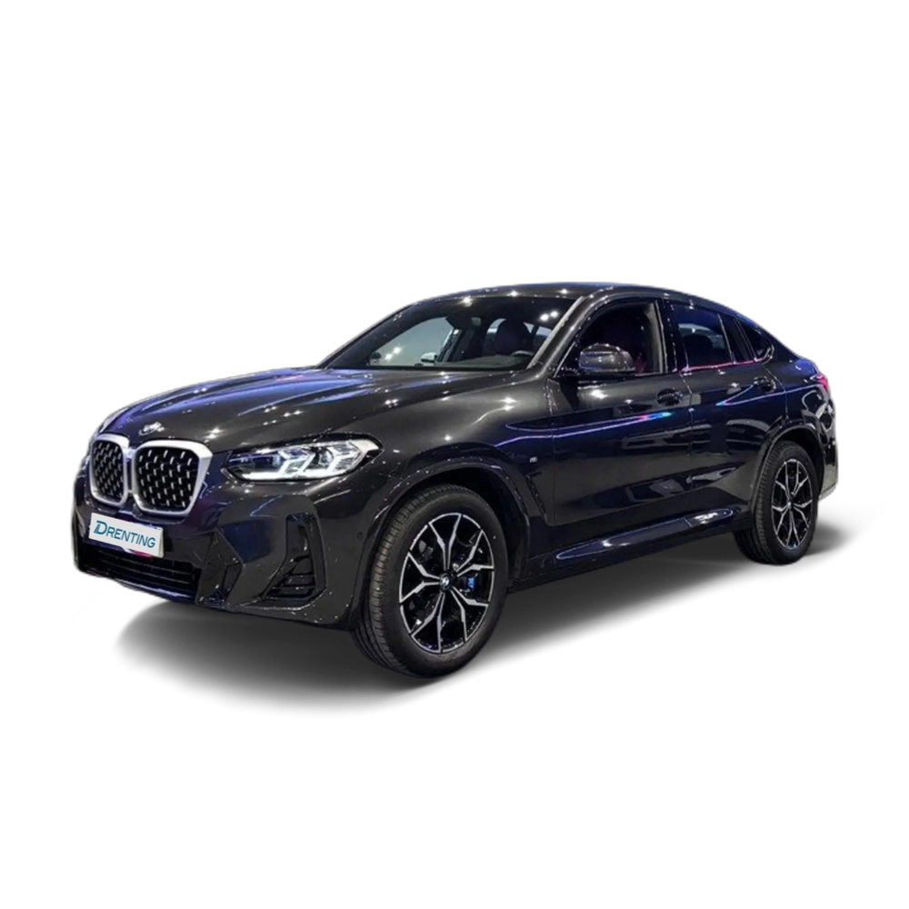BMW X4 xDrive 20dA xLine Gris 4