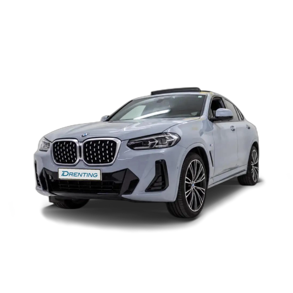 BMW X4 xDrive 20dA xLine M Sport Gris 4