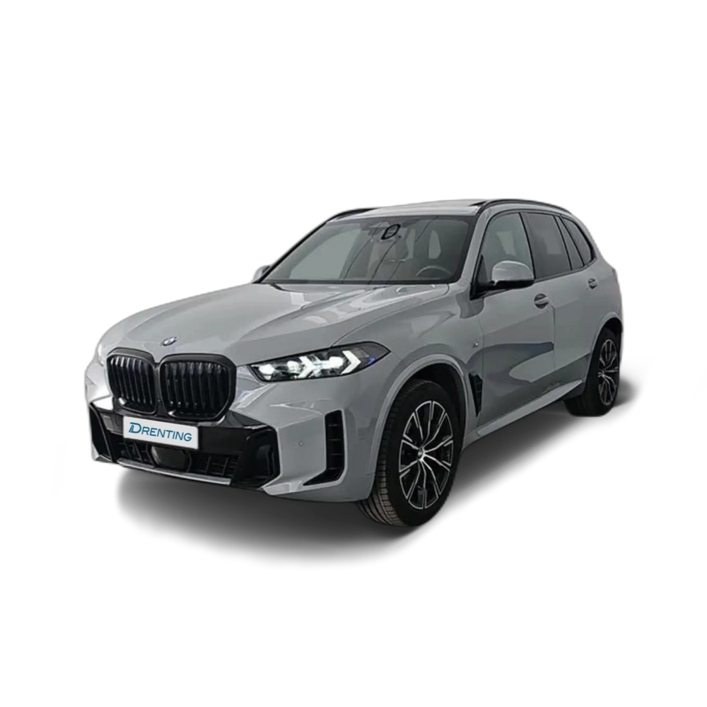 Renting BMW X5 xDrive 30dA xLine Gris