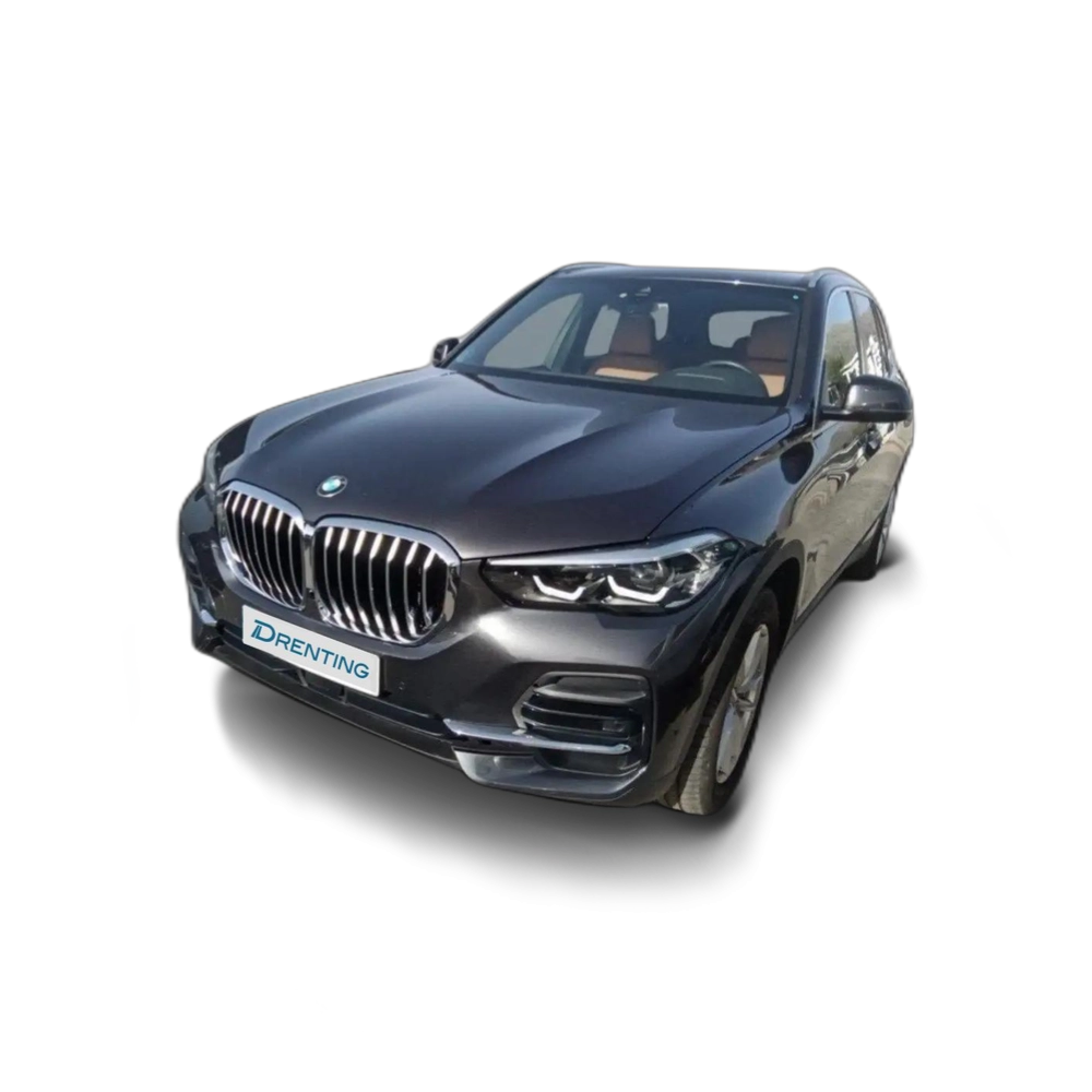BMW X5 xDrive30d Gris 1