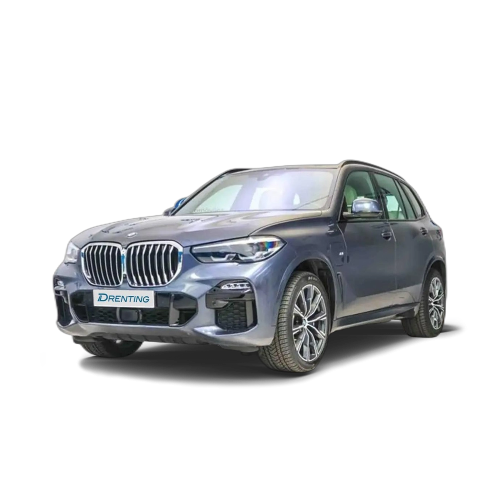 Renting BMW X5 xDrive45e Gris