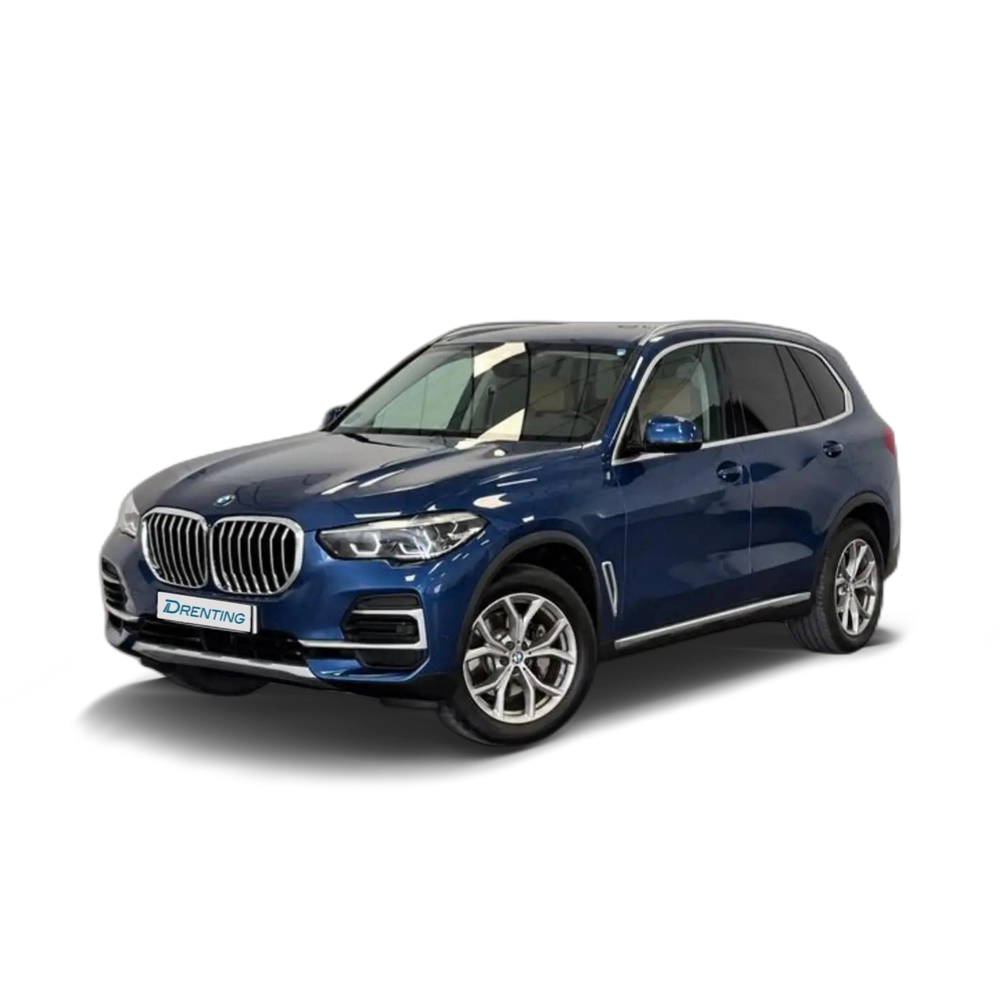BMW X5 XLINE XDRIVE 25D Gris